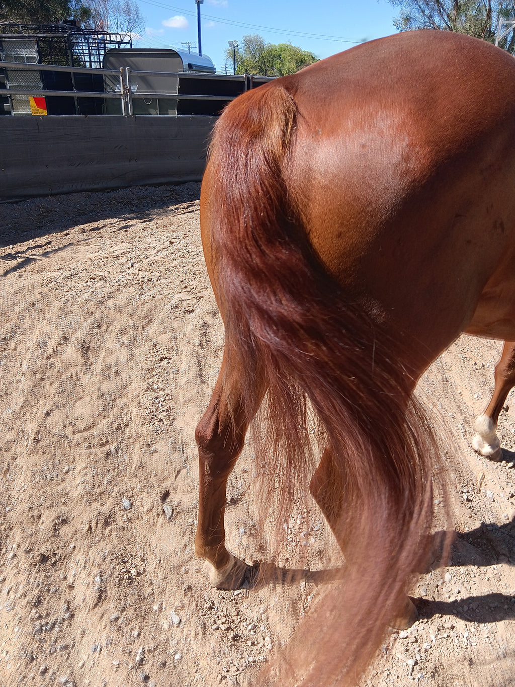 🌾🐴 NAUGHTY KNOTS – REFILL SATCHELS ARE HERE! 🐴🌾